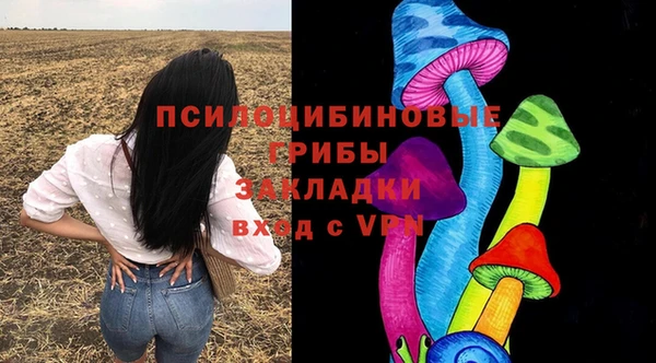 шишки Верхний Тагил