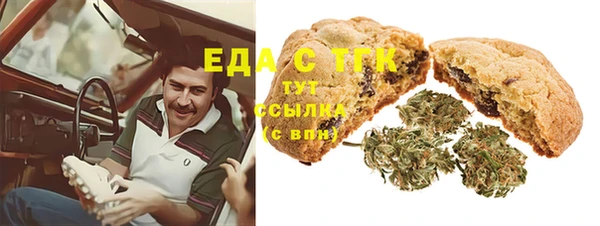 хмурый Верея